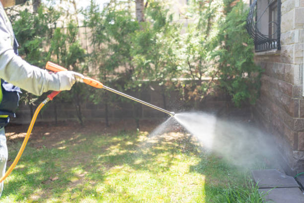 Best Mosquito Control Services  in Saltillo, MS