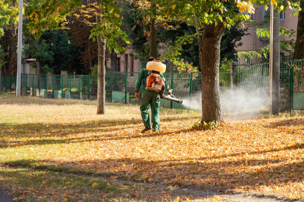 Best Wasp Removal Services  in Saltillo, MS