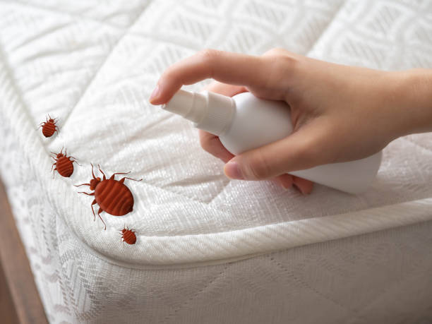 Best Cockroach Control Services  in Saltillo, MS